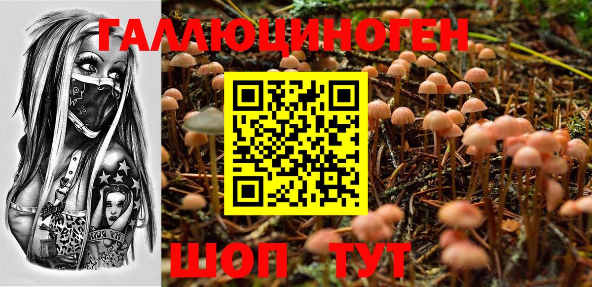 Киров  Галлюциногенные грибы Psilocybe  Вход с VPN 